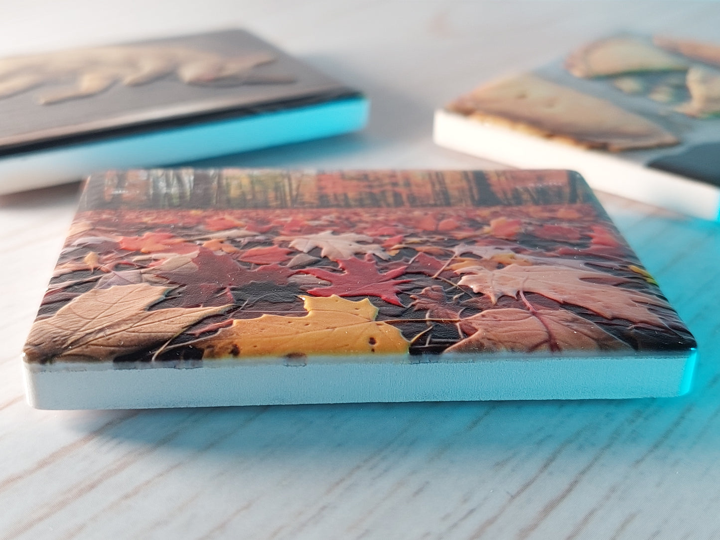 Custom Ceramic Magnets