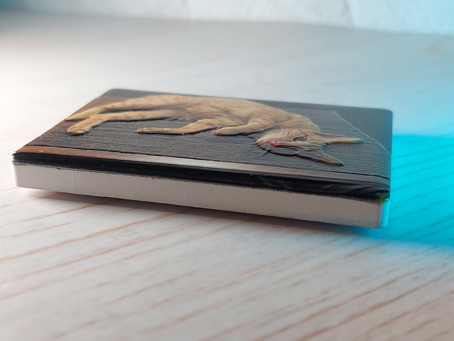 Custom Ceramic Magnets