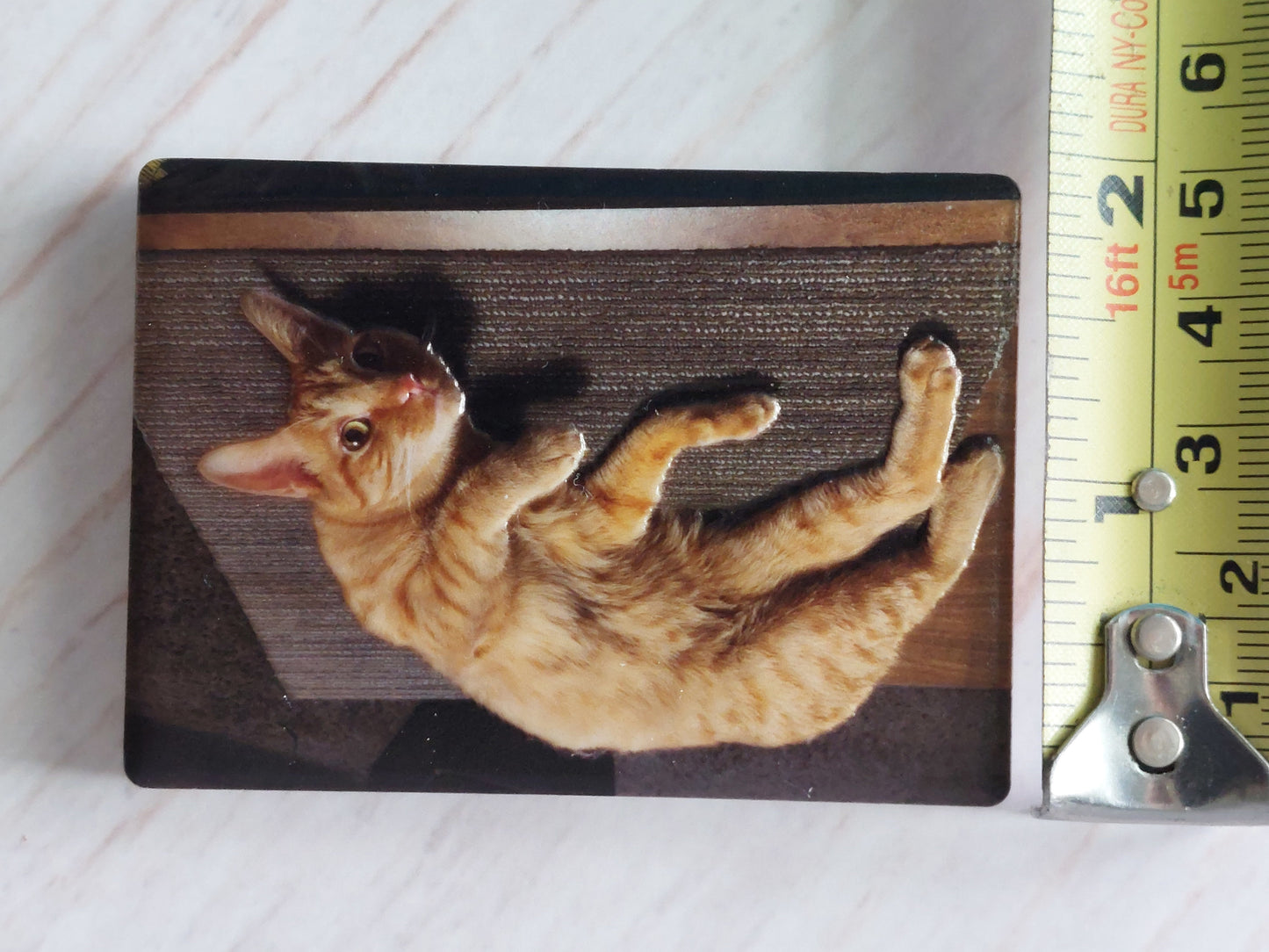 Custom Ceramic Magnets