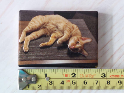 Custom Ceramic Magnets